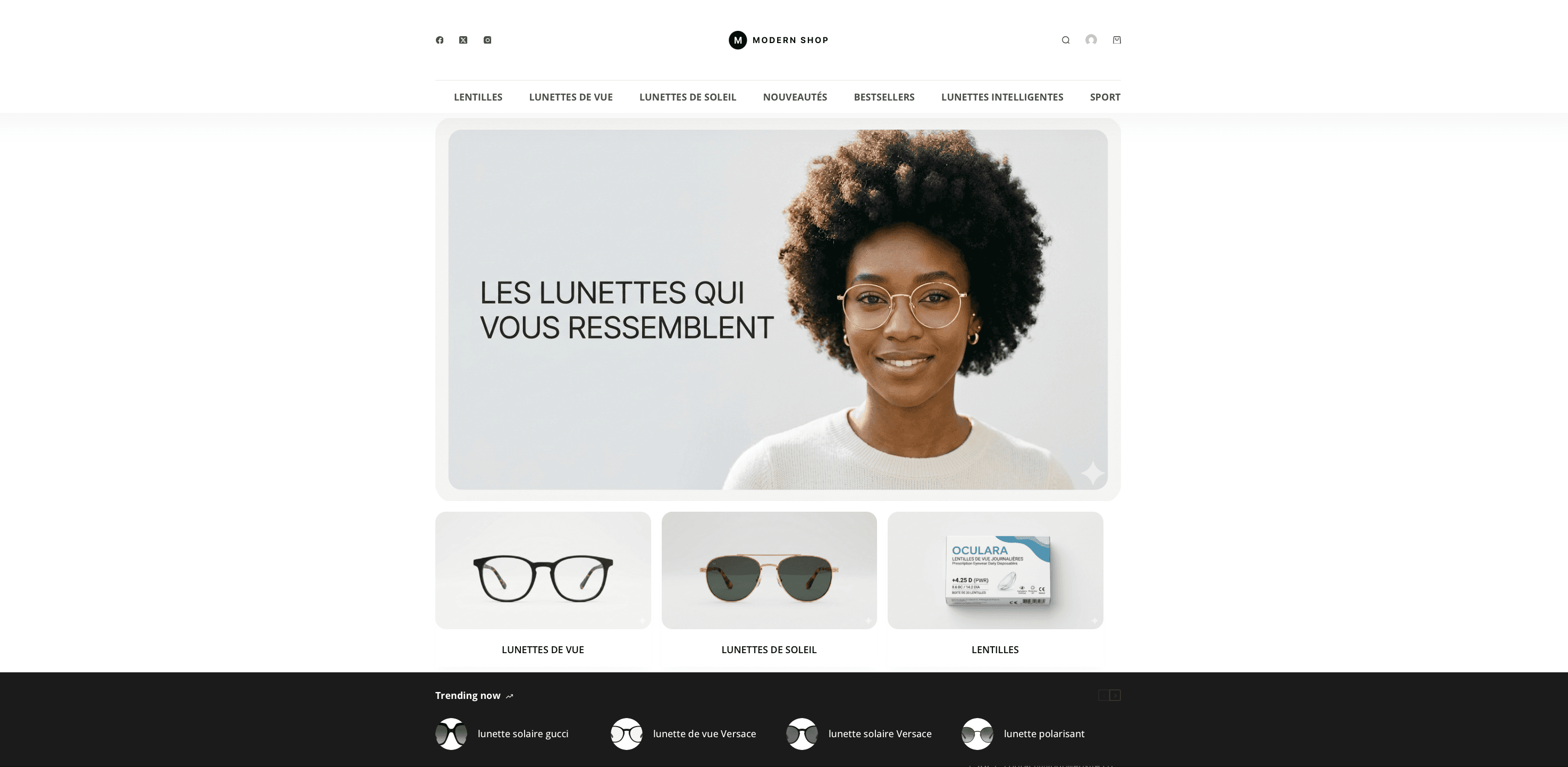 Aperçu du site Modern Shop